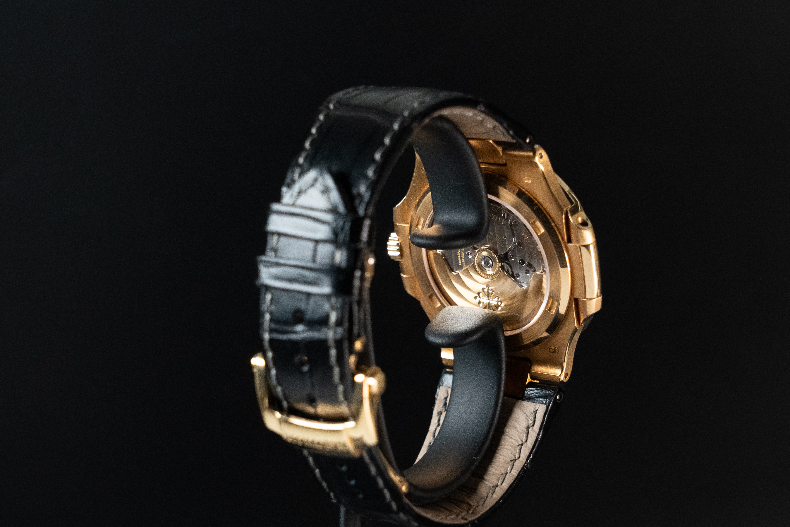 Nautilus  — vue 7
